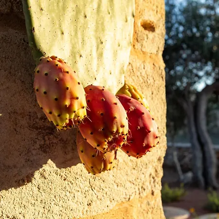 公寓 Le Dimore Salentine *